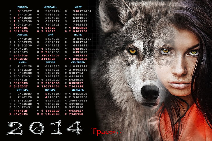 Featured image of post Dark Lone Wolf Hd Wallpaper If you re looking for the best lone wolf wallpaper then wallpapertag is the place to be