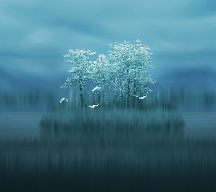 Lake, Trees, Birds, Blurred, Huawei Mate 10, Stock, HD HD wallpaper