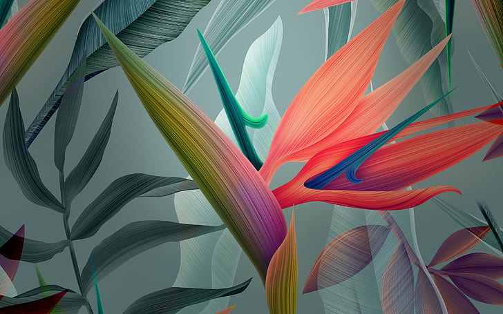 HD wallpaper: Flowers, 4k, 8k, HD, abstract | Wallpaper Flare