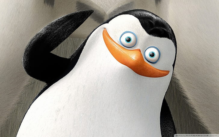 The Penguins of Madagascar Cartoon, movie, HD wallpaper