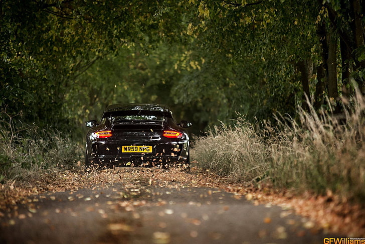 black car, Porsche, fall, black cars, road, vehicle, leaves, forest
