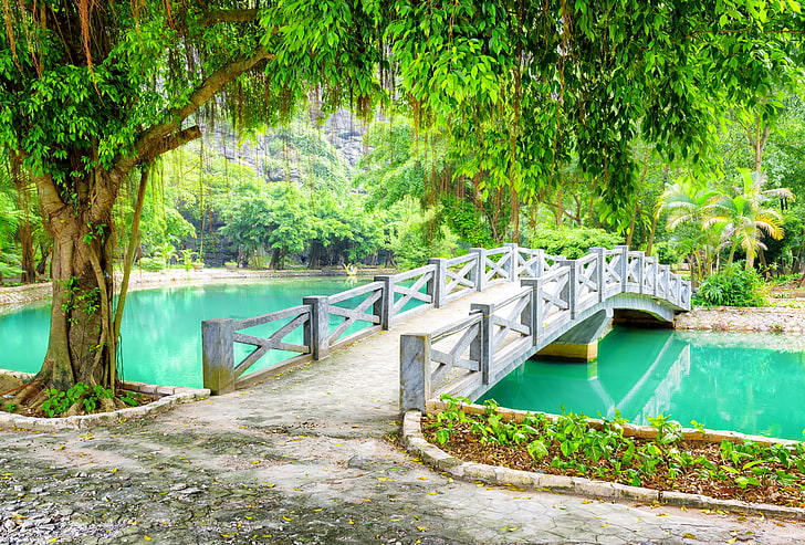 grey concrete bridge, greens, trees, branches, pond, Park, foliage