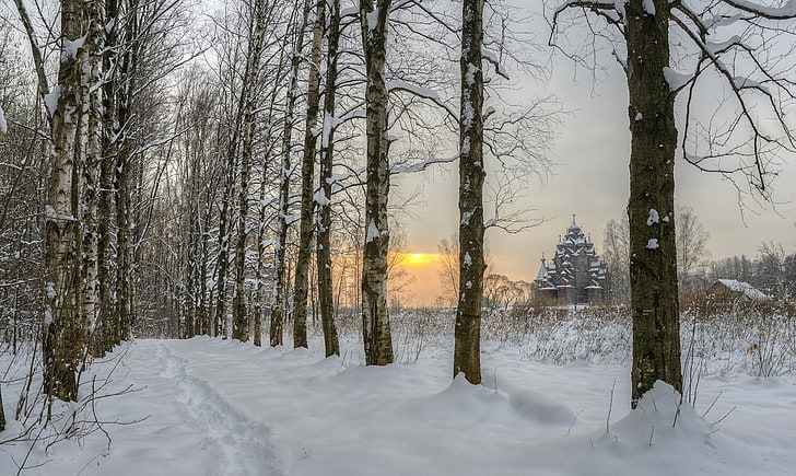 Russia, landscape, winter, snow, cold temperature, tree, plant, HD wallpaper