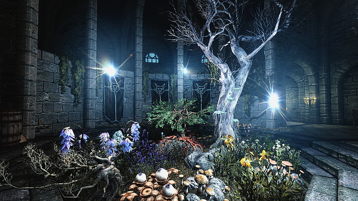 gray tree trunk, The Elder Scrolls V: Skyrim, plants, night, illuminated, HD wallpaper