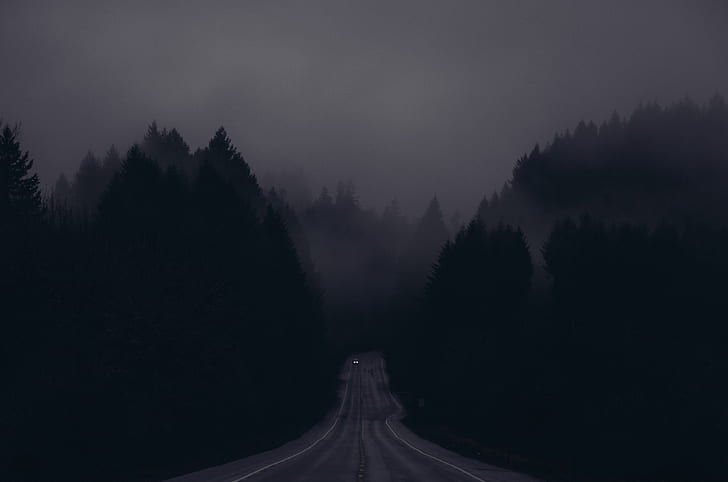 night, road, forest, mist, dark, trees