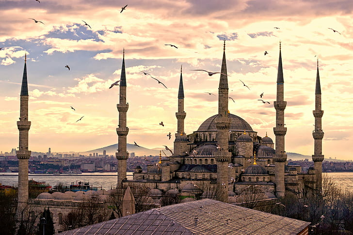 amazing, architectural, beauty, birds, city, clouds, istanbul, HD wallpaper