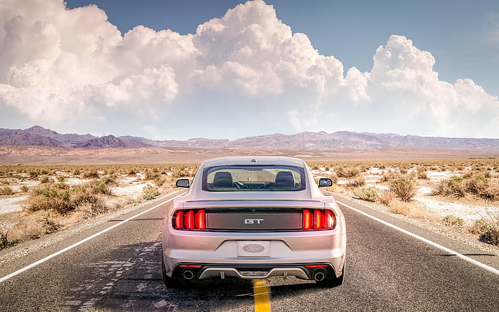 Ford Mustang GT in desert, silver car