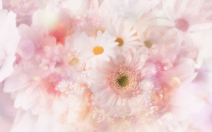 Bright Flowers, tenderness, bubbles, brightness, daisy, beauty, HD wallpaper