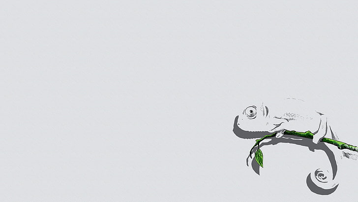 chameleon on the branch illustration, minimalism, chameleons, HD wallpaper