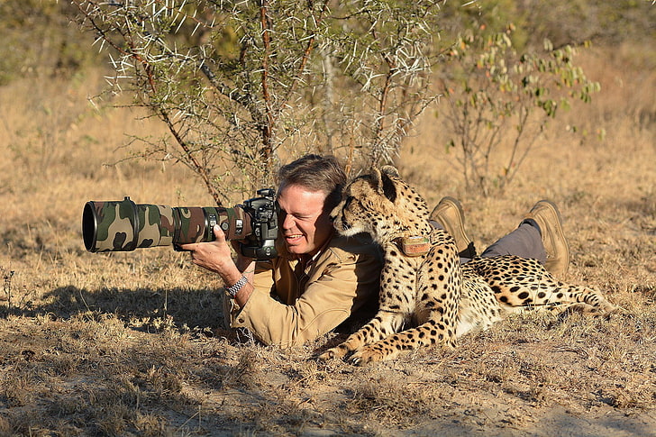 brown leopard, cheetahs, nature, animals, photographer, camera, HD wallpaper