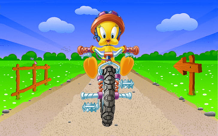 Cartoon Tweety Bird Riding Bicycle Looney Tunes Hd Wallpapers For Mobile Phones Tablet And Laptop 2560×1600, HD wallpaper
