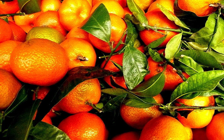 fruit, orange (fruit), food and drink, healthy eating, wellbeing