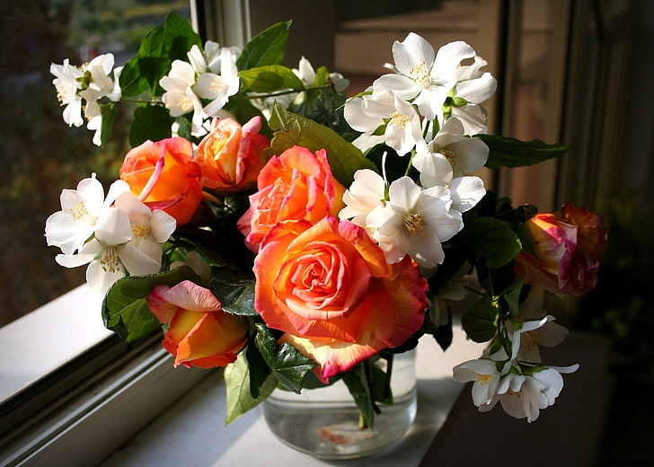 orange roses and white orchid arrangement, flowers, jasmine, spring, HD wallpaper