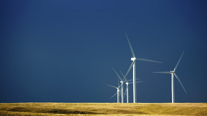 sky, landscape, wind farm, wind turbine, field, environmental conservation