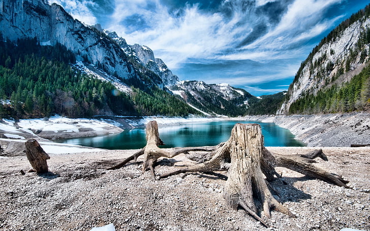 brown driftwood, nature, mountains, lake, HDR, water, beauty in nature