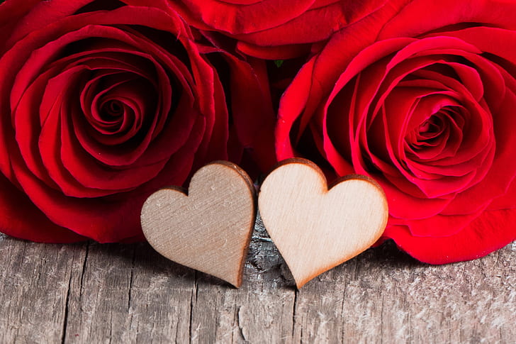 Photography, Love, Flower, Heart, Red Flower, Red Rose, HD wallpaper
