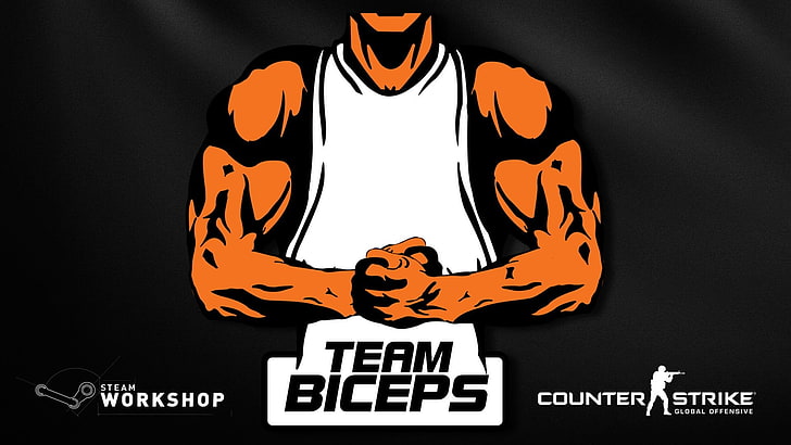Team Biceps logo, Counter-Strike: Global Offensive, pashabiceps, HD wallpaper
