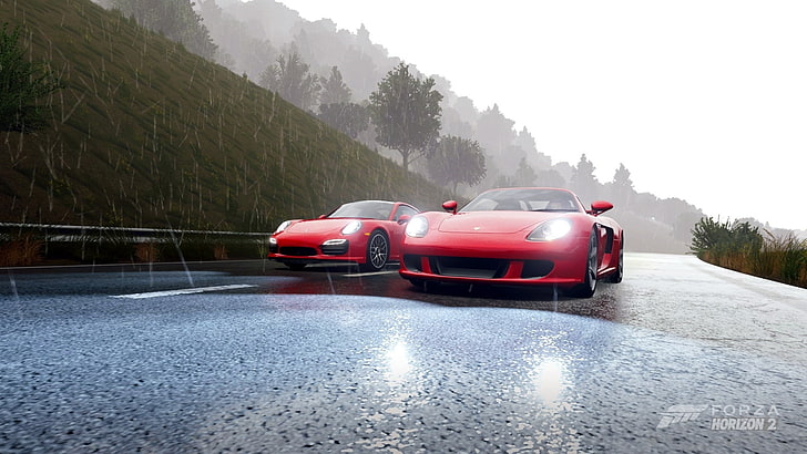 Forza Horizon 2, Porsche Carrera GT, video games, mode of transportation, HD wallpaper