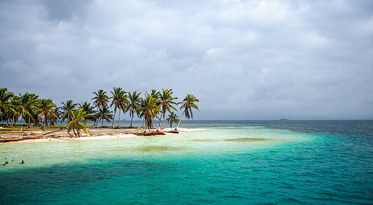 tropical, island, sea, palm trees, horizon, coast, HD wallpaper