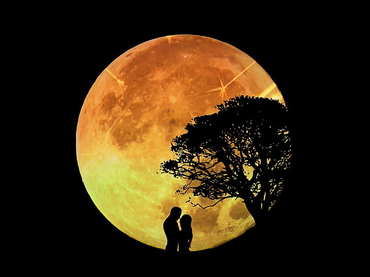 lovers, Moon, trees, night, silhouette, digital art, HD wallpaper