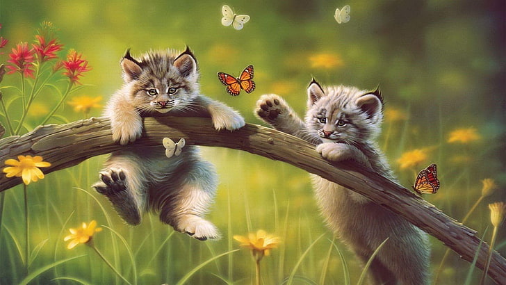Cute Cat Wallpaper  Kitten Wallpapers for Android  Download
