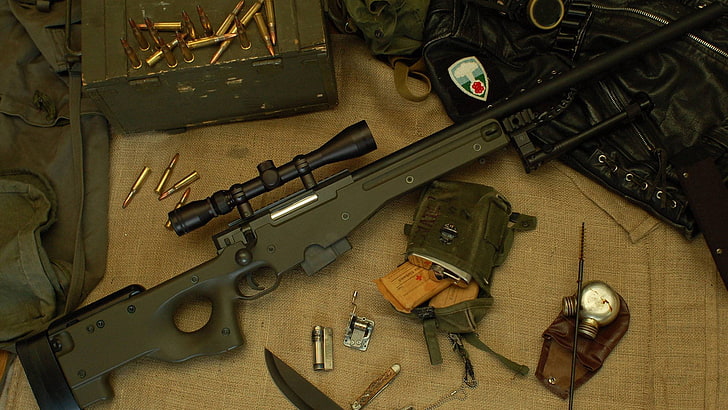 black hunting rifle, cartridges, Arctic Warfare, Accuracy International L96