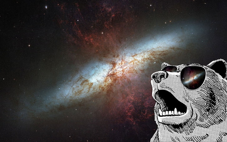 astrophotography of milky way, animals, sunglasses, space art