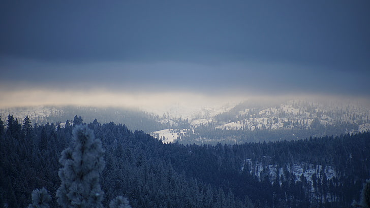snow covered forest near rock formation, mountains, overcast