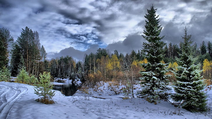 Winter, snow, forest, trees, river, clouds, dusk, green tree