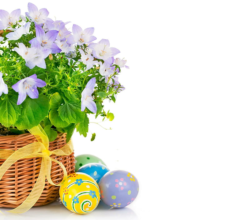 Easter Time ღ, holidays, harmony, spring, eggs, flowers, basket, HD wallpaper