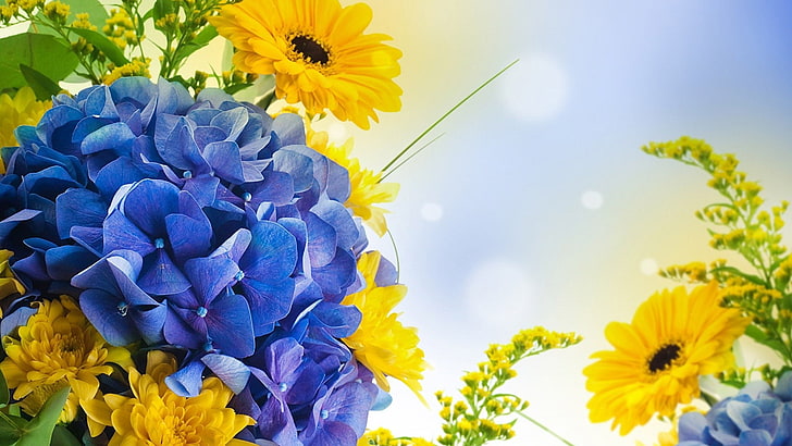 flower, pollen, plant, floral, spring, flowers, summer, blossom, HD wallpaper