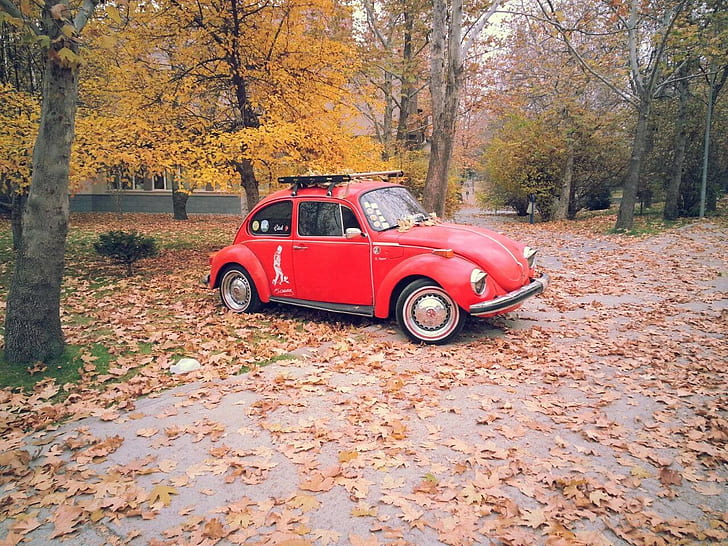 Volkswagen Beetle, car, HD wallpaper