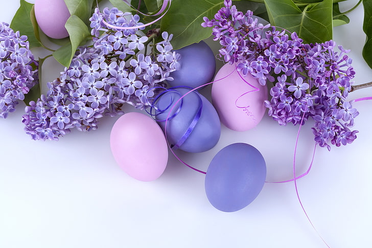 purple and pink Easter eggs, lilac, flower, flowering plant, freshness, HD wallpaper