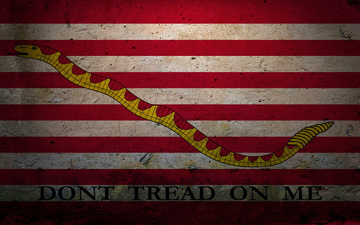 libertarianism, flag, United States Navy, naval jack