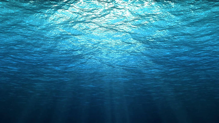 HD wallpaper: underwater themed for desktops, no people