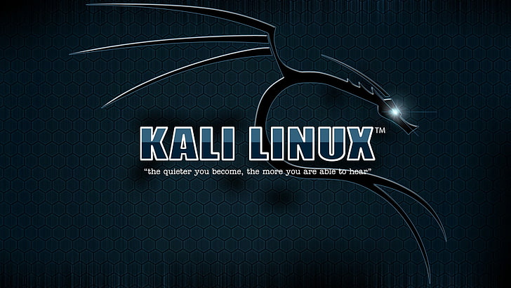 Kali Linux logo, text, western script, communication, indoors HD wallpaper