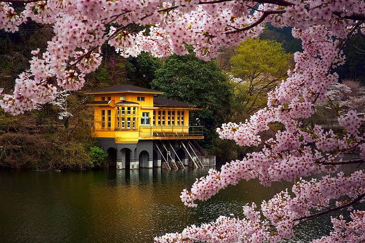 Japan, Honshu island, yellow and brown concrete house near body of water, HD wallpaper