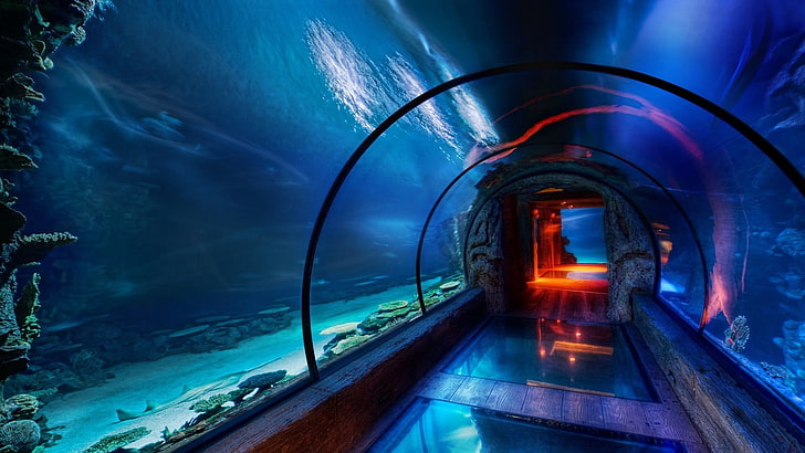 blue pathway, tunnel, underwater, aquarium, architecture, illuminated