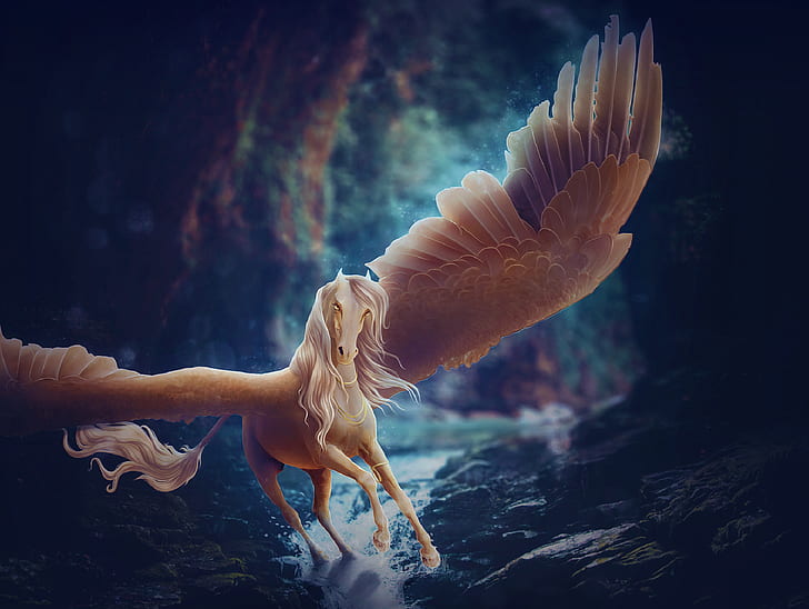 Fantasy Animals, Pegasus, Horse, Wings, HD wallpaper