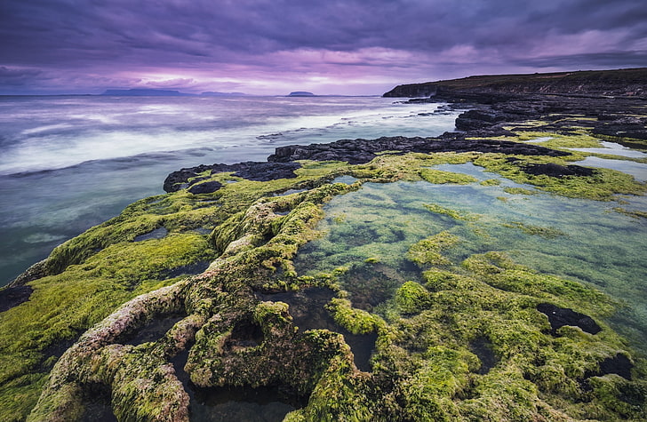 Rocks and Algae, seashore, Nature, Beach, Ocean, Landscape, Green, HD wallpaper