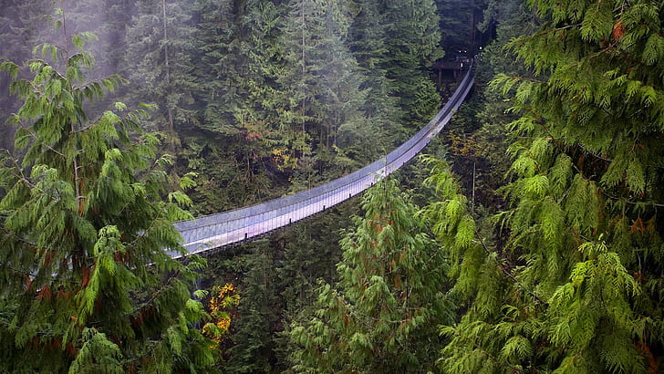 Capilano Suspension Bridge, British Columbia, nature and landscapes, HD wallpaper