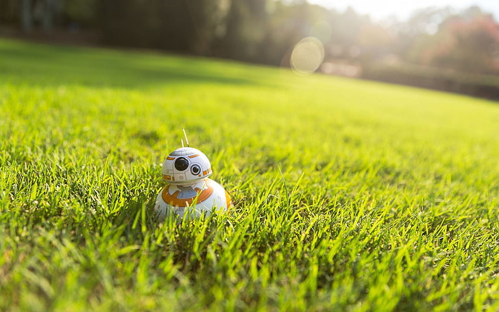 Star Wars BB-8 toy, BB-8 toy on green grass, tilt shift, green Color, HD wallpaper