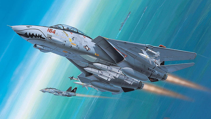 avianisets, f 14, fighter, grumman, interceptor, jet, jets, HD wallpaper