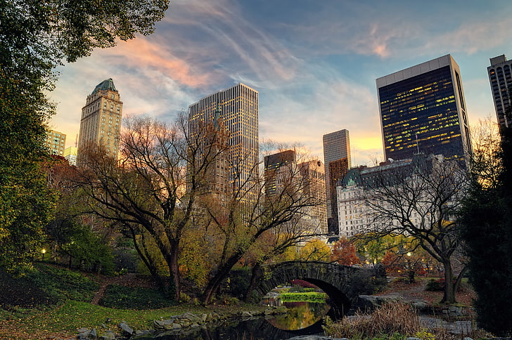 trees and buildings, bridge, nature, the city, river, home, New York, HD wallpaper