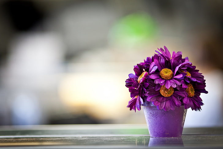purple petaled flowers, pot, petals, bouquet, nature, vase, decoration, HD wallpaper