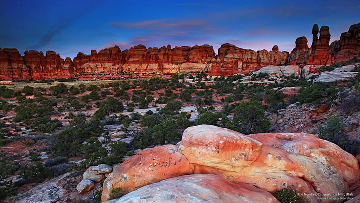 The Needles, Canyonlands N.P., Utah, National Parks, HD wallpaper
