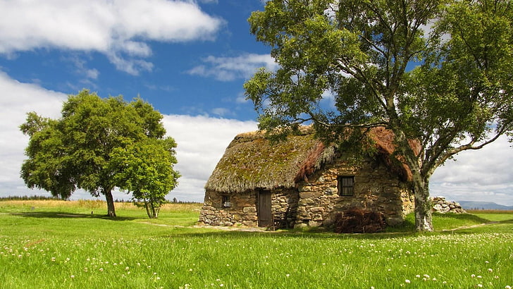 cottage, shanty, grass, house, tree, small cottage, sky, field, HD wallpaper