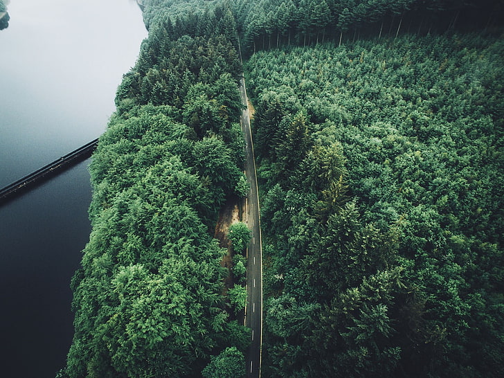 aerial photography of straight concrete road beside forest, trees