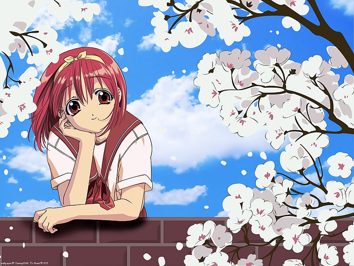 Akari watanabe in 2023 | Anime girlxgirl, Cute anime character, Anime