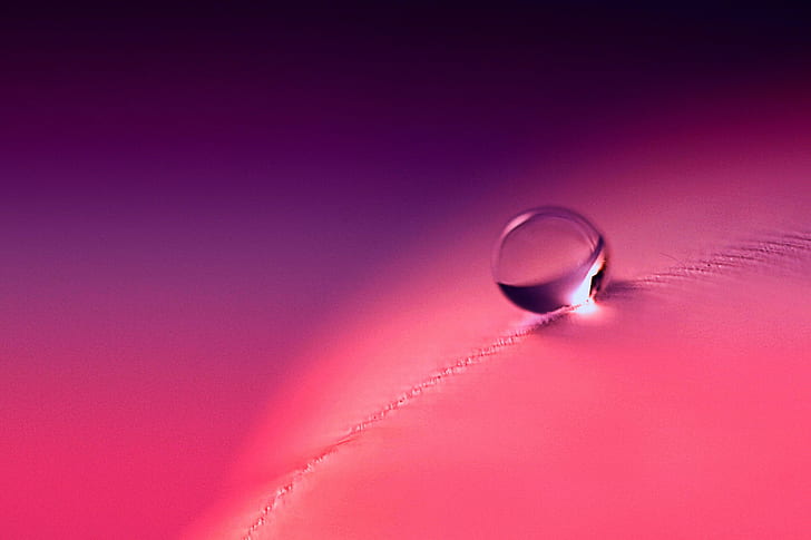 water drop on pink textile, Tears Roll Down, TEARS  ROLL  DOWN